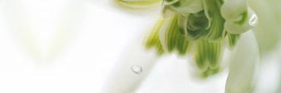 宋朝 聽海系列車載香薰 掛件香水 出風口香氛香掛 蘭韻清風