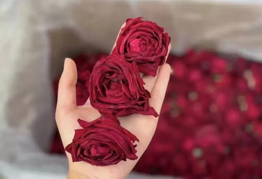 中國 瀧禦堂 養顏茶 頭茬 雲南墨紅玫瑰 20克 罐裝