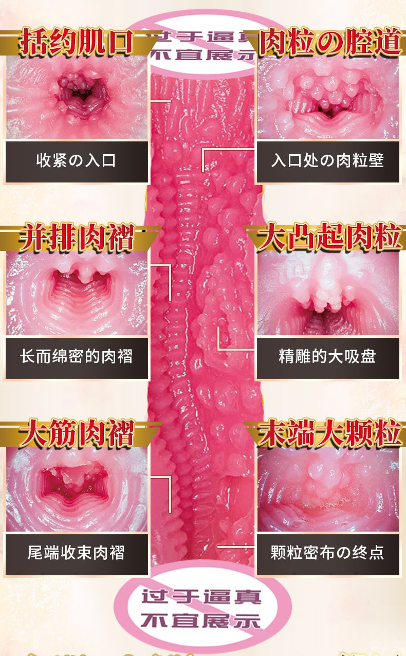 【中國直郵】NPG名器證明 二代 極上葵司款 男用飛機杯倒模 成人用品