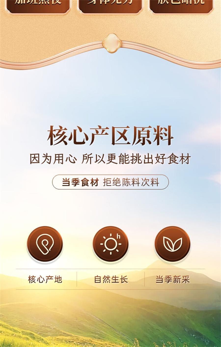 【中国直邮】 北京同仁堂 元气四宝茶 西洋参黄芪党参麦冬生气女血养补 100g/盒
