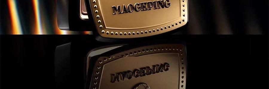 MAOGEPING毛戈平MGP 光影塑颜高光粉饼 新手哑光提亮盘 脸部遮泪沟 4.5g #821 哑光版 嘭嘭饱满清透立体【入门高光】
