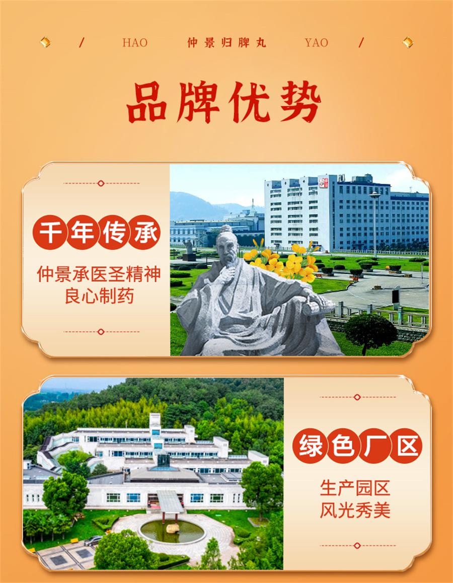 【中國直郵】 仲景 歸脾丸 益氣補血 健脾養血 適用於失眠多夢心脾兩虛300丸/盒