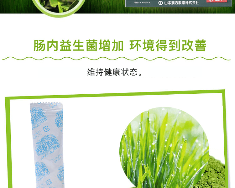 YAMAMOTO KANPO 山本汉方||乳酸菌大麦若叶(新旧包装随机发货)||4g×30