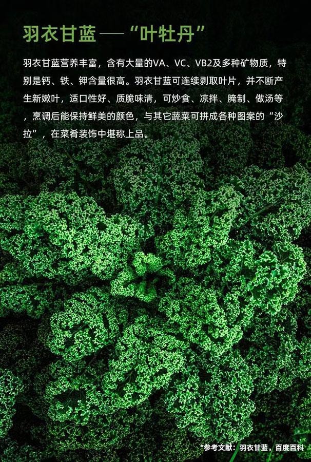  百芝蘭 羽衣甘藍粉 沖調早晨代餐粉 膳食纖維蔬菜粉 可輔助瘦身 減肥 速溶即食羽衣甘藍粉 低卡 45g/盒( 3g × 15袋 )