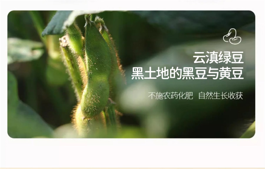 【中国直邮】 小羊森林 乌梅三豆饮膏儿童夏季冲饮品孩子爱喝扁鹊三豆饮温和食材  100g/盒