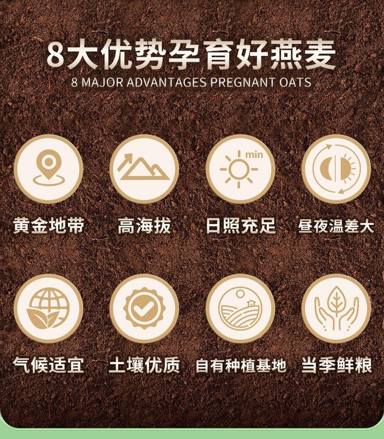 世壮 【超级爆款】农科院出品  燕麦片(速溶)300g 速溶代餐粉 日常早餐减肥减脂食品 降血脂日常饮食食品保健品【快速冲泡一杯营养餐】