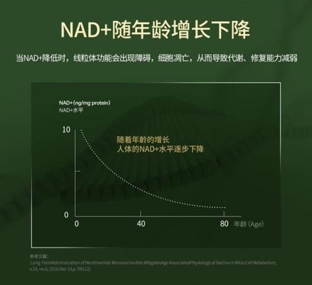 【日本直郵】 日本 清美堂 SEIBIDO日本 N+12000 高純度NMN單一配方膠囊 每瓶 60粒含NMN12000mg