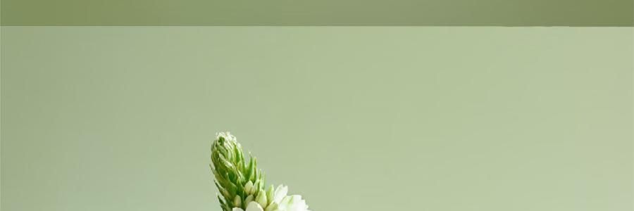 宋朝 繁花之境系列香氛 无火香薰+扩香石礼盒 春雨清茶