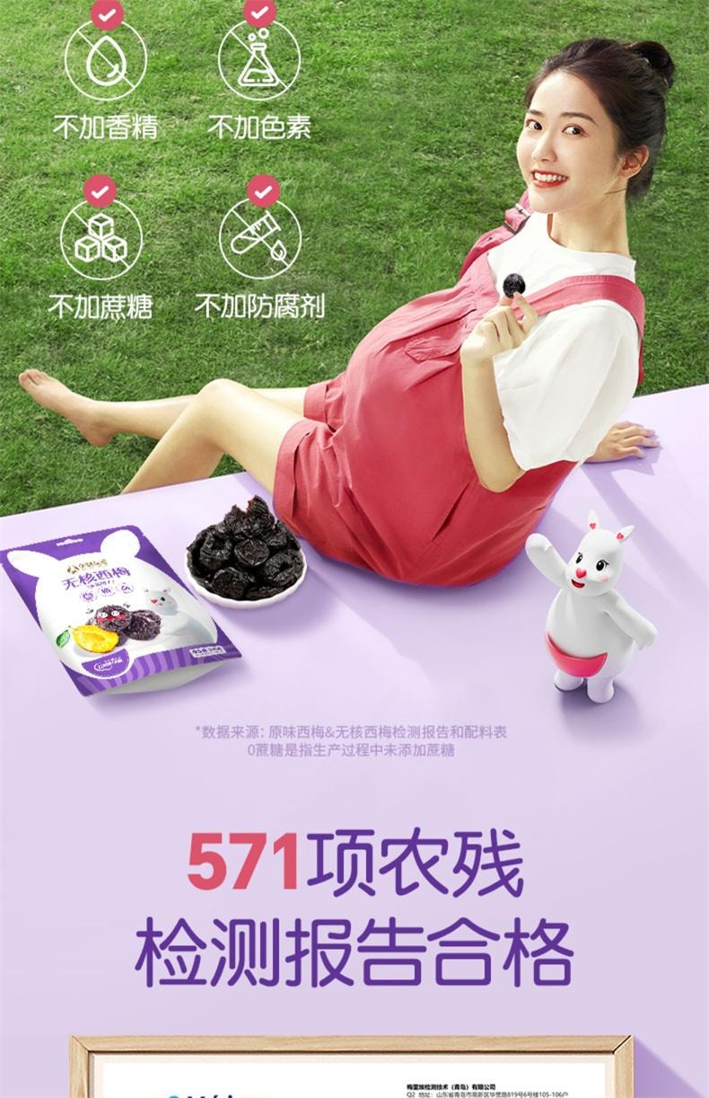 【中國直郵】 孕味食足 西梅干蜜餞果乾孕婦解饞零食(原味+酸味+無核)3袋裝