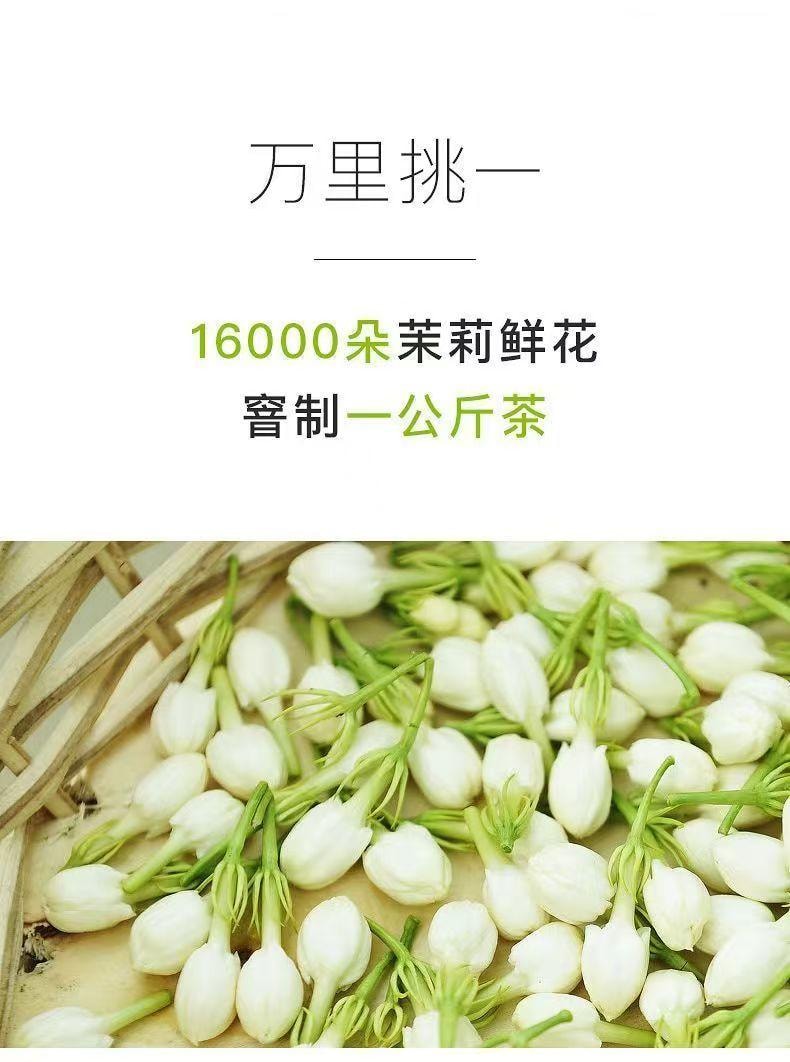 Classic Jasmine Tea Bags 50g