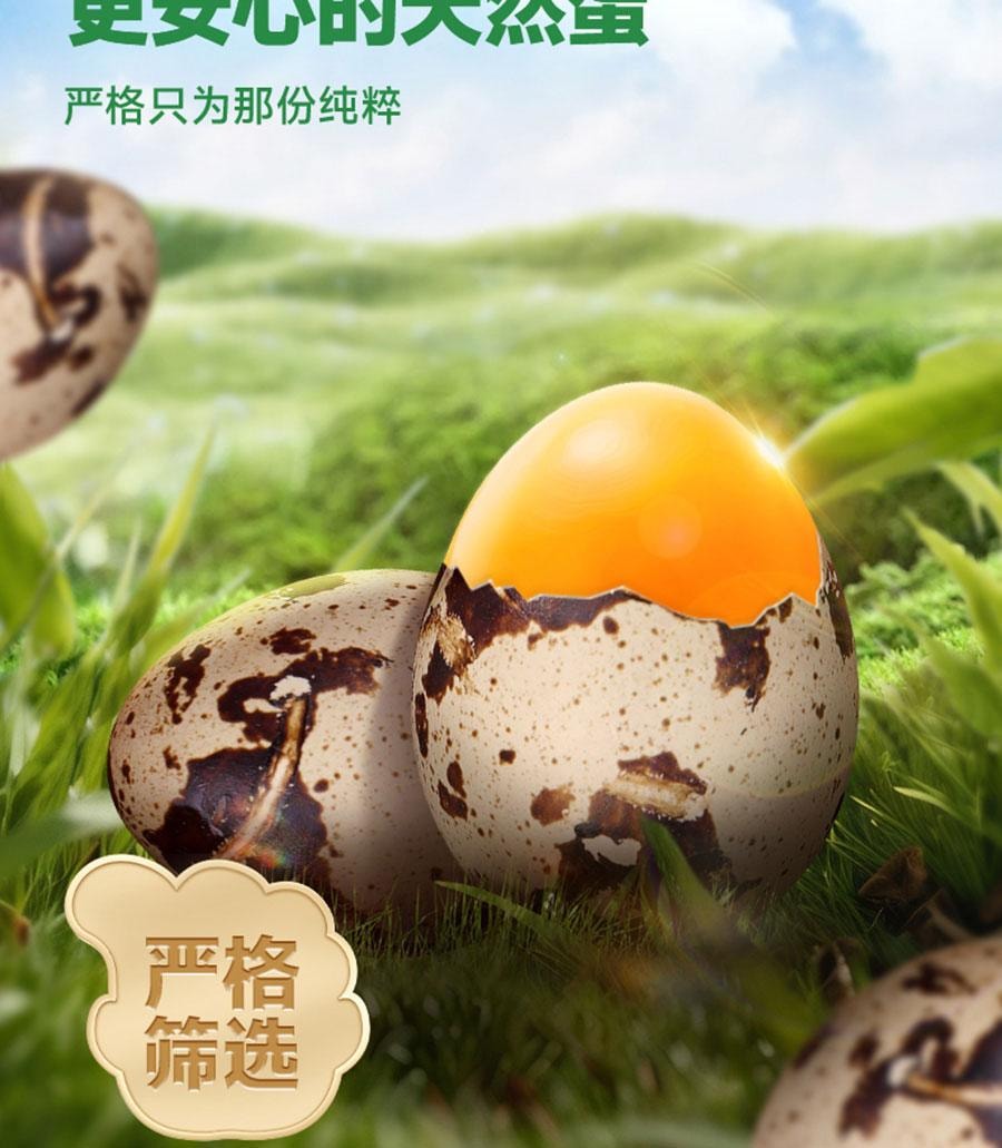 比比赞 鹌鹑蛋独立小包装即食铁蛋卤味小零食网红休闲食品小吃 【香卤铁蛋】 120g