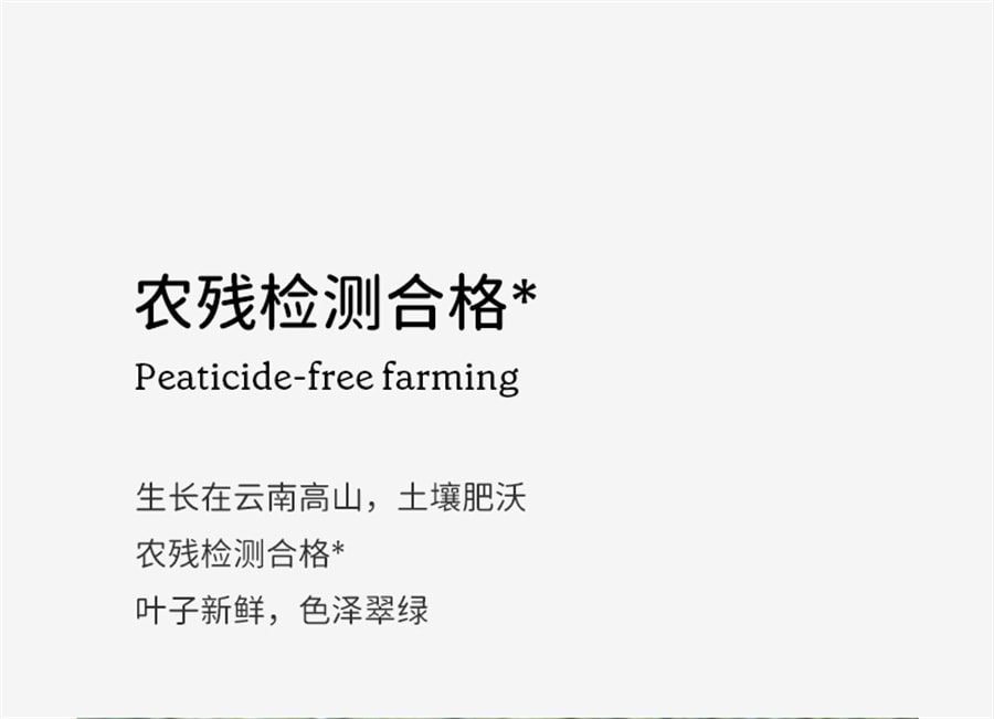 【中国直邮】soacai   冻干羽衣甘蓝粉膳食纤维蔬菜粉青汁燕麦片奶昔  60g/盒