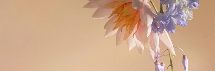 THE BEAST野兽派 花神之梦系列 三姐妹晶石闻香杯礼盒 香薰摆件 3 ml*3 + 晶石