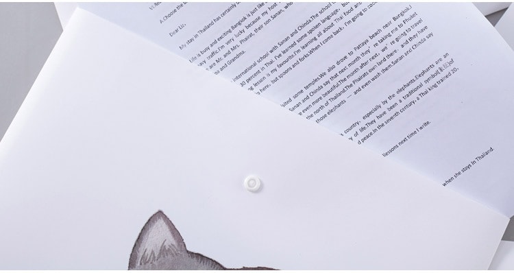待改價審核銷售低樂學辦公(LEARN&WORK) 蘇打貓系列按扣文件袋 白色加厚 4個裝