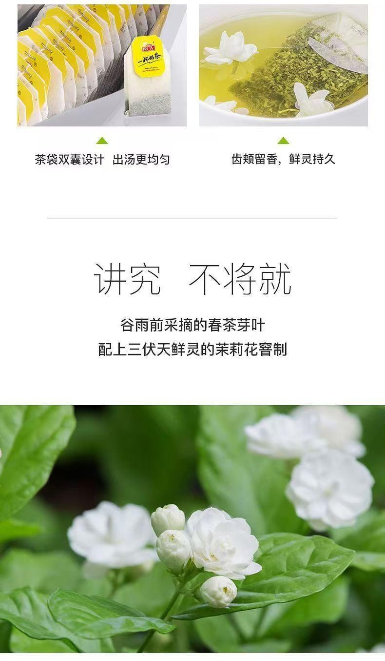 Classic Jasmine Tea Bags 50g