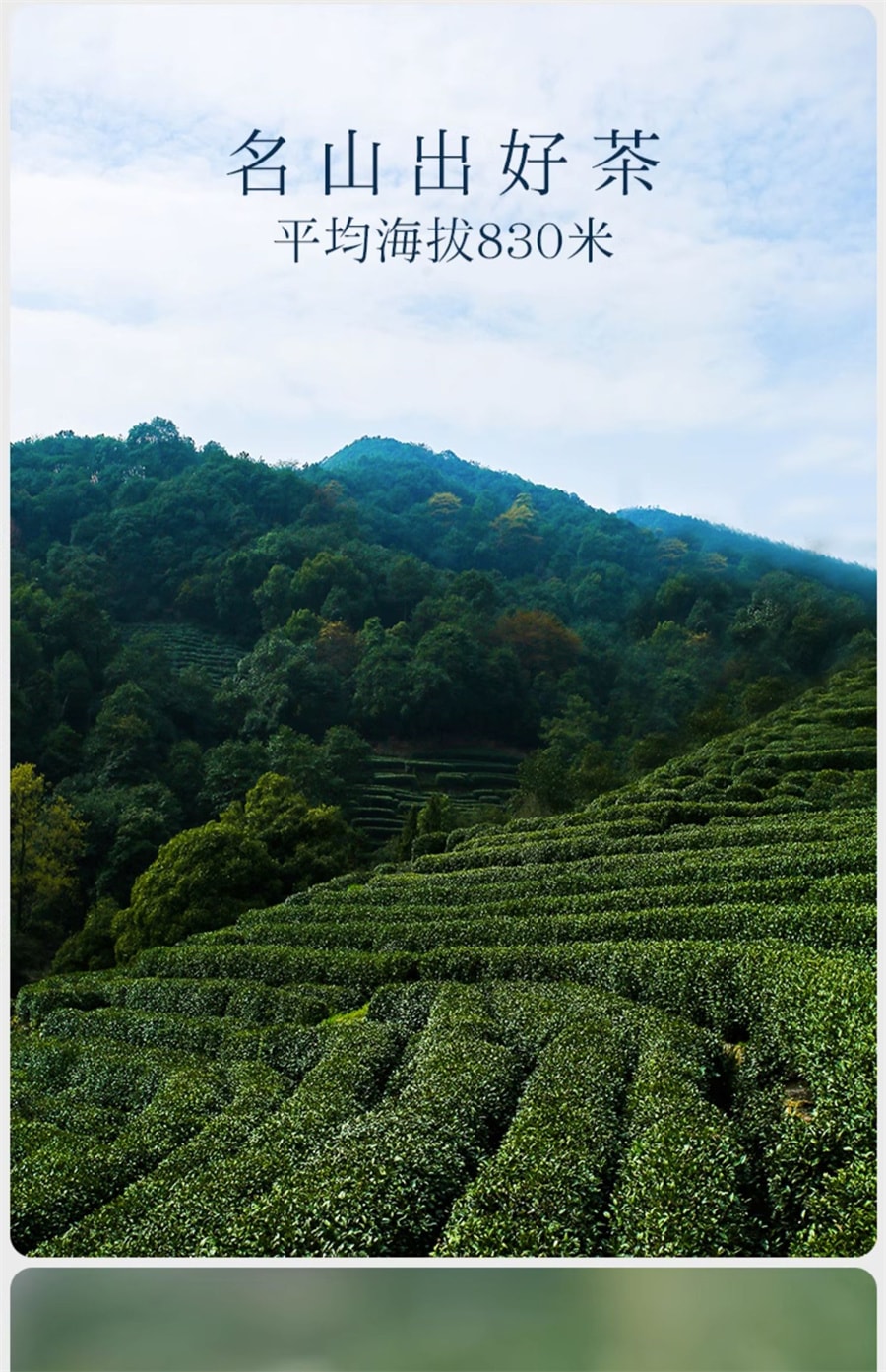 【中國直郵】貢牌 雨前新茶正宗濃香龍井茶葉紙包 高山綠茶自己喝 250g/盒