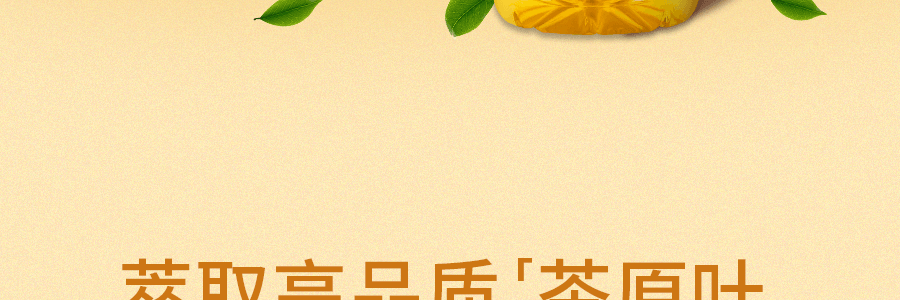 日本SUNTORY三得利 Craft Boss 檸檬茶 450ml