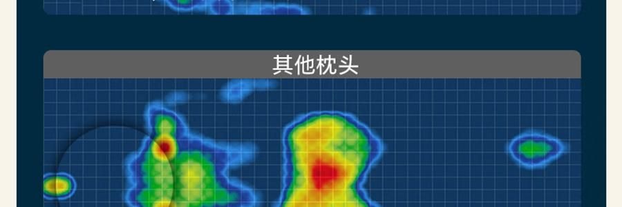NOYOKE诺伊曼 记忆棉枕头 酒店升级款护颈减压 高枕10cm 【带双感枕套】 70*42*10cm