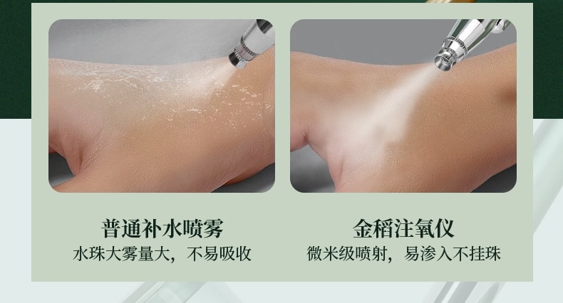中國 K·SKIN 金稻注氧儀 家用便攜式 手持 美容院 高壓臉部 綠色噴霧補水儀器 1台