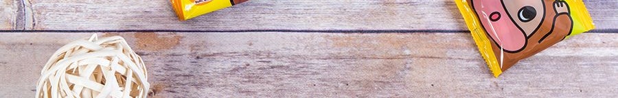 日本SHOEI DELICY 奶油夾心巧克力餅乾 96g【超萌巧克力次郎造型】