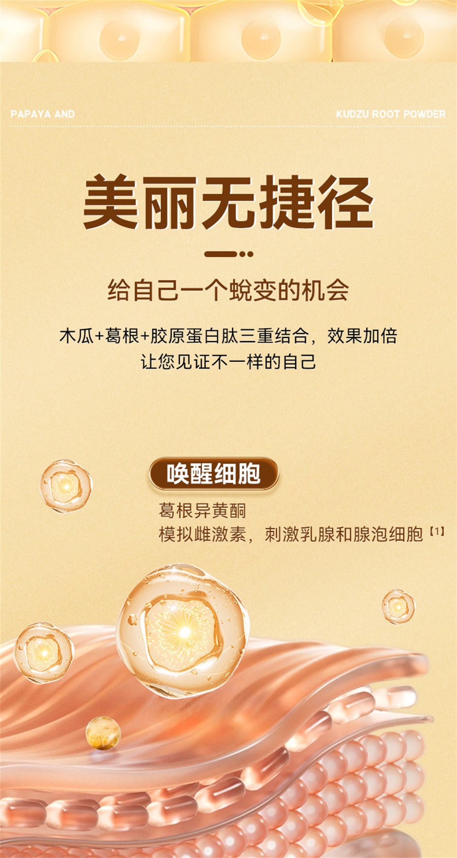 【中國直郵】同仁堂 木瓜葛根粉胸部正品增膠原蛋白勝肽大營養滿 150g(15g*10袋)