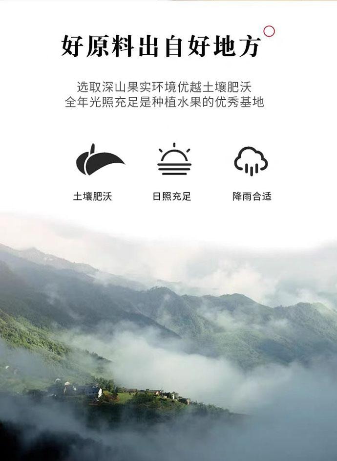 【中国直邮】 泉利堂 陈皮杨梅 蜜饯果脯 258g*1罐