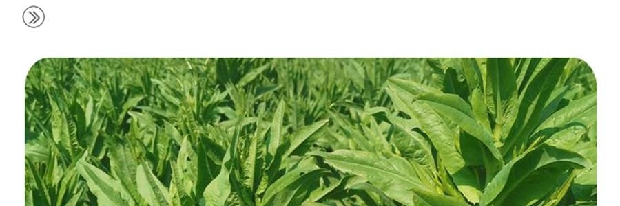 時樸 精選貢菜乾 80g【口感清脆 色澤自然】【可涼拌涮火鍋】