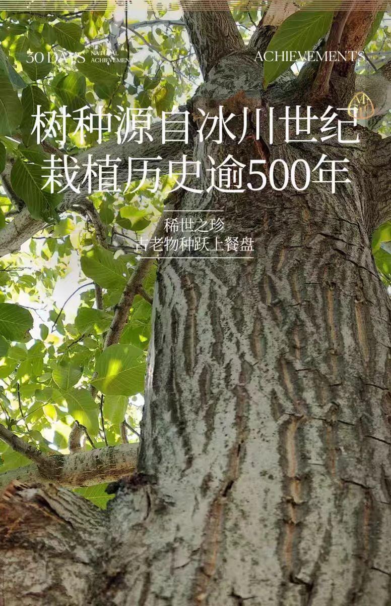 【中國直郵】 覓食 大山核桃仁 臨安新鮮大顆粒堅果零食 218g