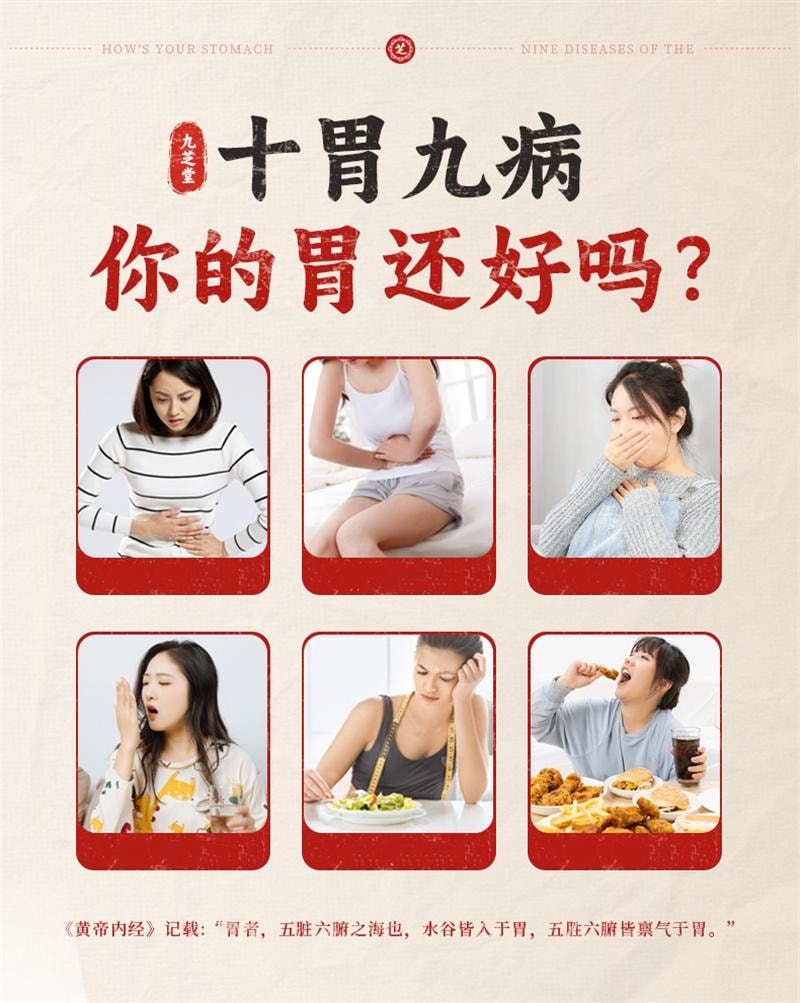 【中國直郵】 九芝堂 山藥猴頭菇粉養胃粉八珍粉益生菌腸胃營養早餐沖飲即食調理 500g
