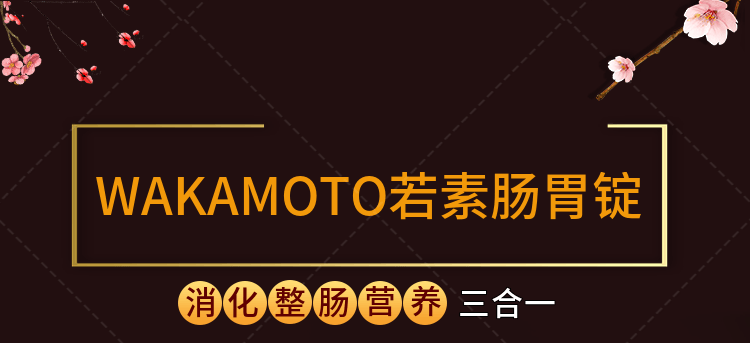 【日本直邮】WAKAMOTO 强力若素肠胃锭 乳酸菌诺元锭助消化健胃治便秘 1000粒