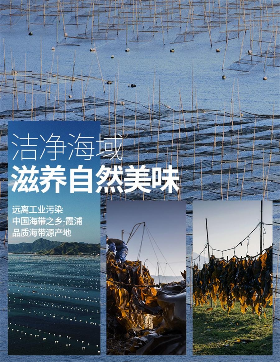 【中国直邮】 金海林 压缩海带丝 嫩霞浦特产烘干商用免洗泡发凉拌火锅专用16克*10包