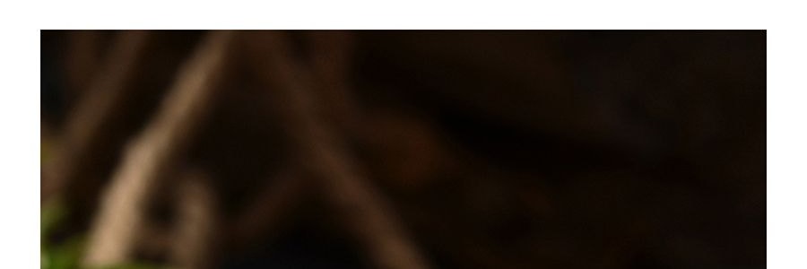 南字牌 傳統黃單晶冰糖 400g