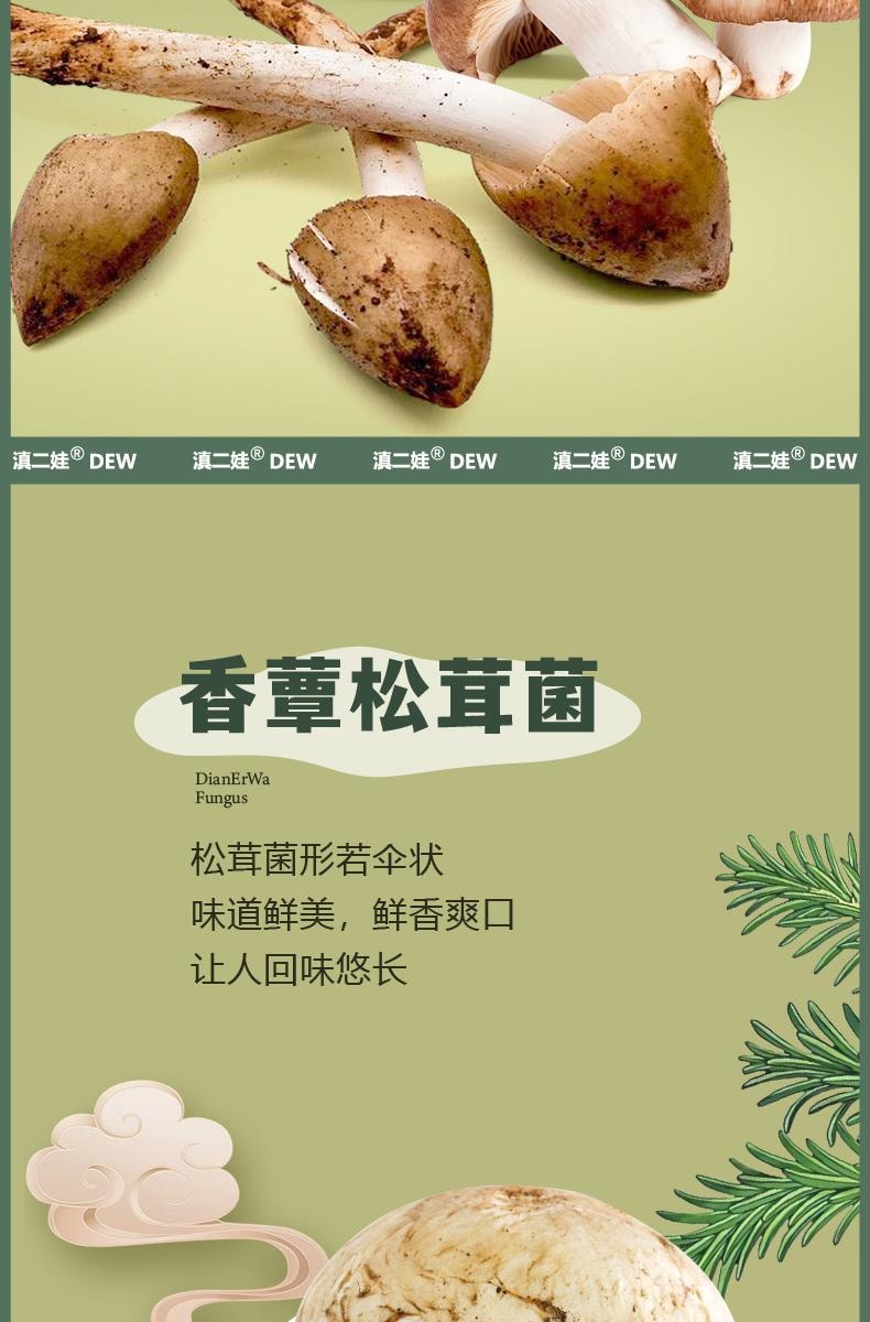 滇二娃 風華食光 雲南特產即食山野珍品 (松茸菌 牛肝菌 雞樅菌) 3種即食香菇零食下飯菜 六包125克±5克