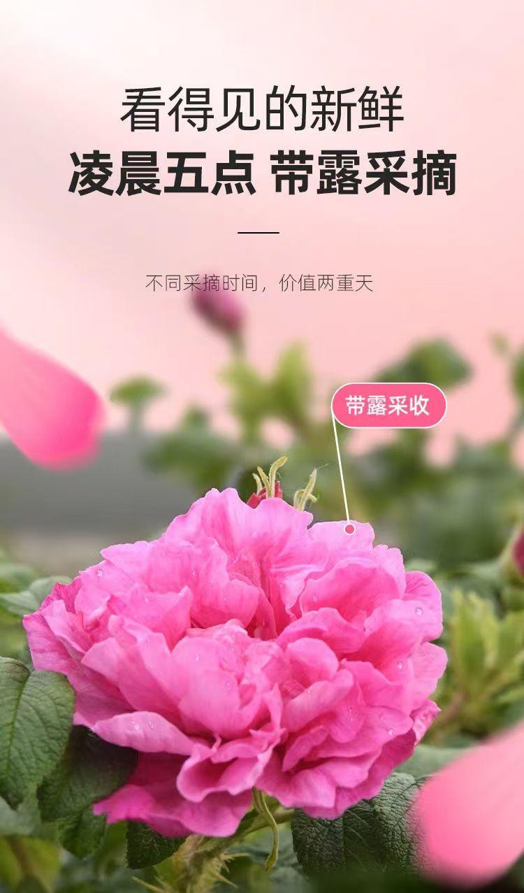 A+Yunnan Mohong Rose 40g