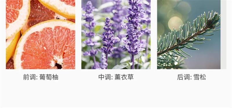 【中国直邮】  润本| 润本| 润本 润本 空气清新剂厕所除臭香薰珠卫生间去异味神器卧室香氛持久留香  月下苍兰240g