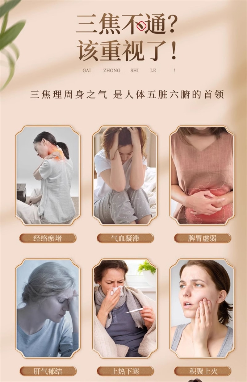 【中国直邮】辅滋堂 舒郁全焦膏260g三焦通肝郁瘀堵上热下寒脾胃肝胆