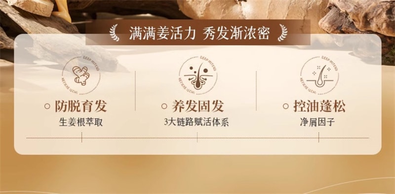 【中國直郵】 儒意 生薑防脫洗髮精 防脫髮固髮控油蓬鬆洗髮露 男女通用 500ml/瓶