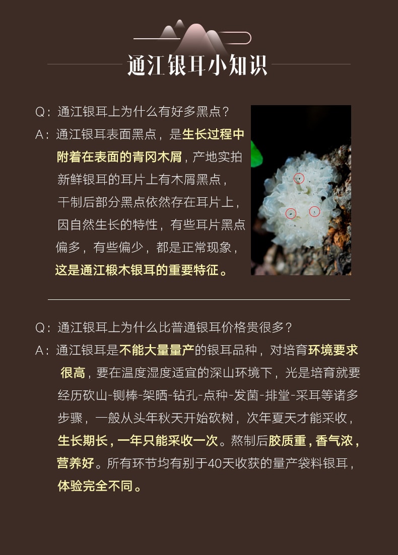 Tremella Yiner 80g