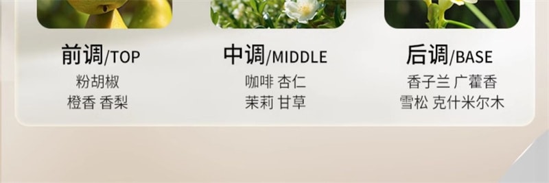 【中国直邮】弹动 8+minutes 人参茶树纯露洗发水八分钟洗头膏控油止痒蓬松 人参洗发水450ml+人参发膜260ml