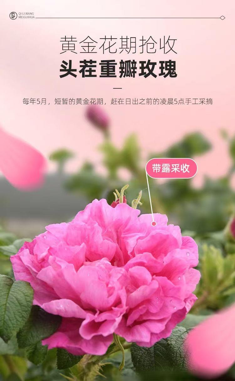 杞里香 精選A級頭採平陰玫瑰花冠禮盒30g 疏肝解鬱 膚白如花的秘密 花青素比藍莓高