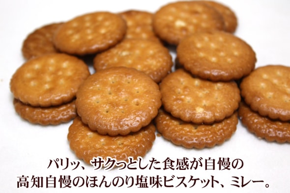【日本直邮】 NOMURA野村煎豆 最新赏味期限 蔡文静推荐 健康小饼干130g