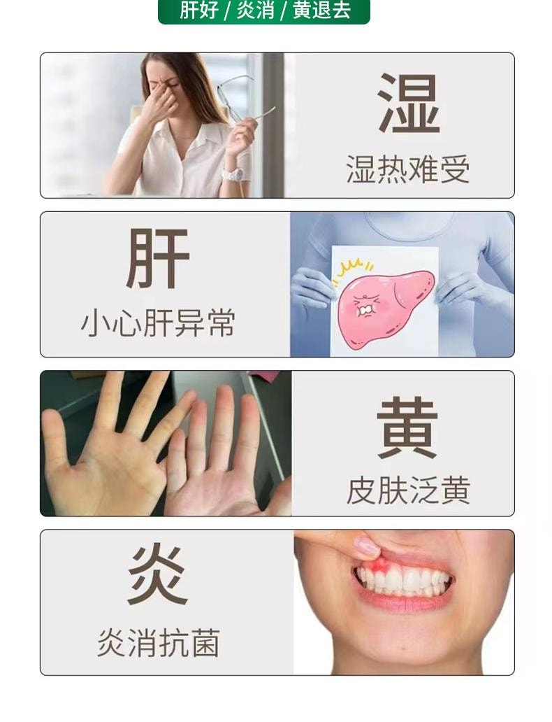 【中国直邮】 关东礼 茵陈草30包/袋中药材三月茵陈野生嫩芽新鲜干茵陈白蒿茶泡水正品