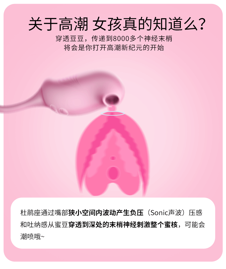 強力吸震LESHEIN吸吮震動跳蛋兩用情趣用具夫妻震動棒送潤滑油 成人用品粉紅色 1件