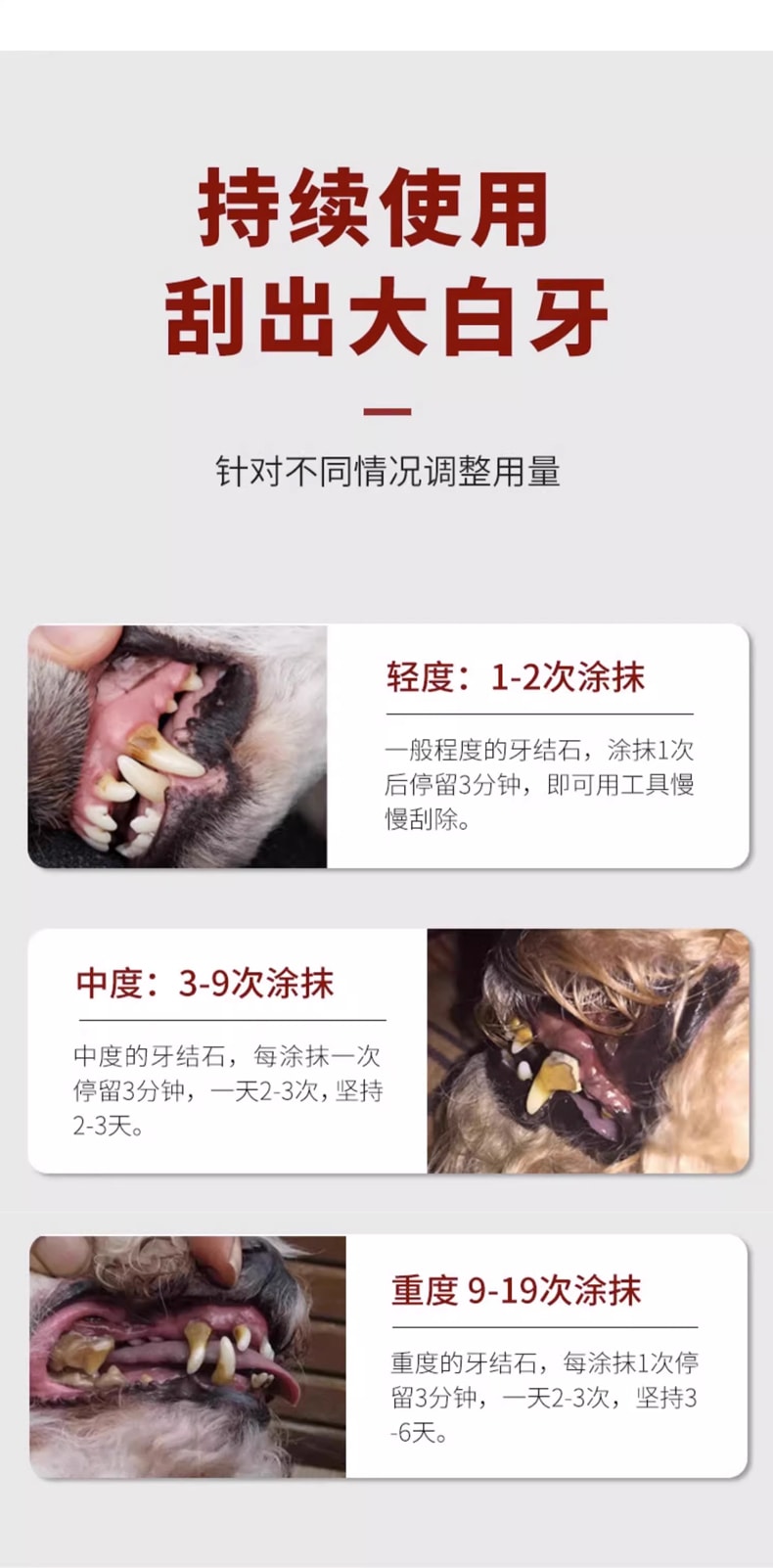 日本 HiiiGet- KOJIMA宠医百年品牌宠医百年品牌 宠物洁牙笔美牙笔 猫咪狗狗牙结石牙齿牙垢清洁套装
