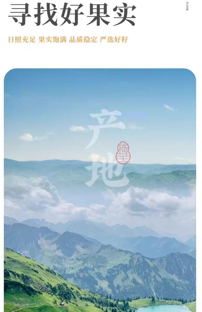 【中国直邮】 琦王 瓜蒌子 奶油味 500g*1袋