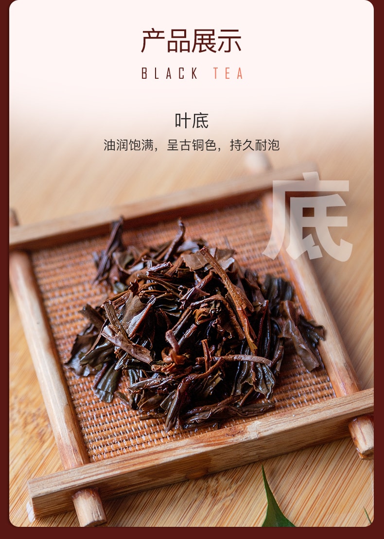 【中国直邮】艺福堂 新品 正山小种红茶特级浓香型新茶罐装 150g