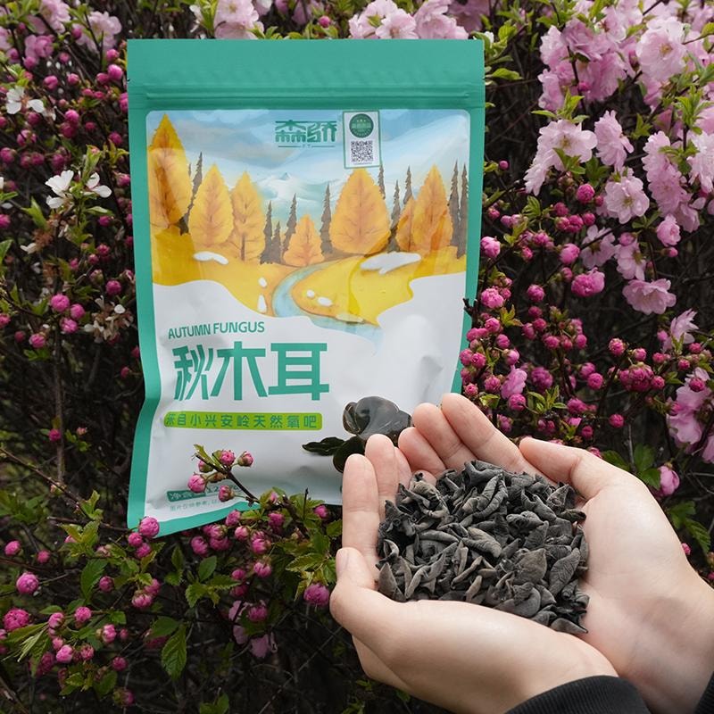 远方好物 【森骄 秋木耳125g】来自大兴安岭远离污染  经过远方sgs检测更放心