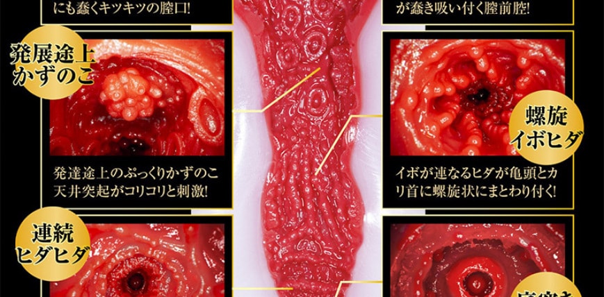 【中国直邮】NPG名器 纯情 松本一香 名器 男士情趣用品