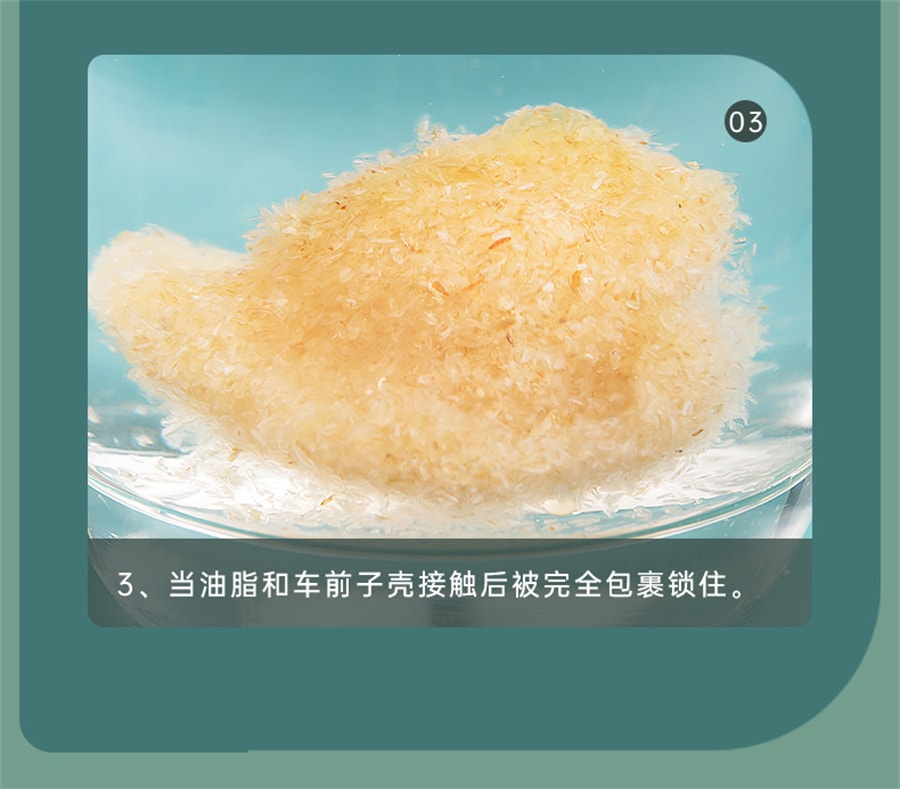 【中国直邮】享滋  洋车前子壳粉圆苞车车前原壳壳子粉膳食纤维粉饱腹感代餐洋前车子   200g/罐