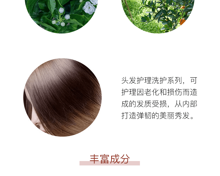 La CASTA||Aroma Esthe 植物成分蓬鬆光澤髮膜 48 修護受損秀發 重現彈性光澤感||230g
